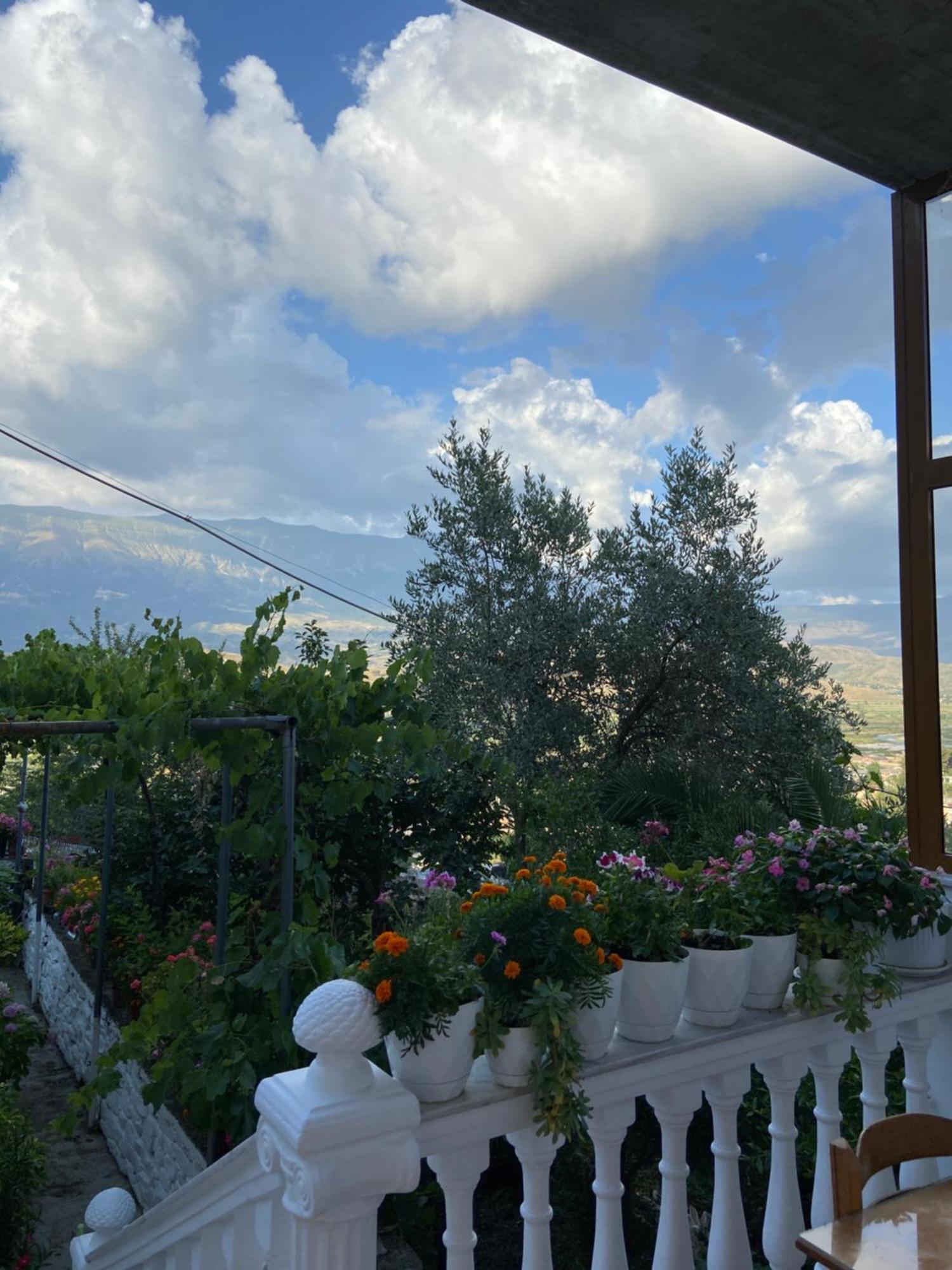 Stonetale Garden Guesthouse Gjirokastra Zewnętrze zdjęcie